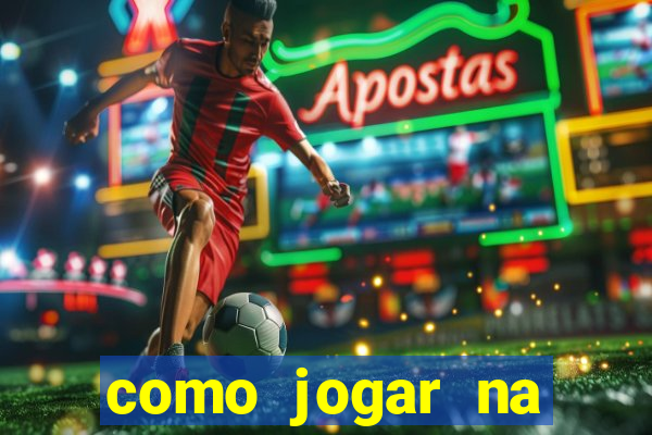 como jogar na teimosinha da lotofacil